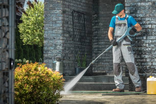 Best Roof Washing  in Mount Vernon, NY