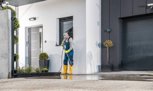 Best Solar Panel Cleaning  in Mount Vernon, NY